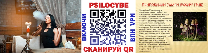 Галлюциногенные грибы Psilocybe  Купить закладки  Фатеж 
